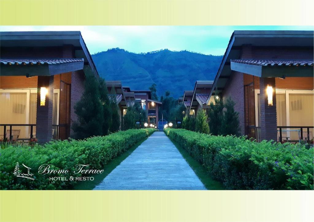 Bromo Terrace Hotel Extérieur photo