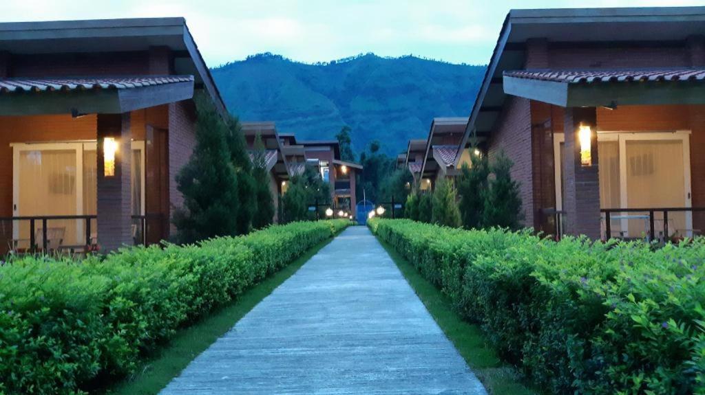 Bromo Terrace Hotel Extérieur photo